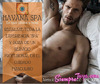 EL CONCEPTO DE MAS ALTO NIVEL EN SERVICIOS "SPA" DE HOMBRES PARA HOMBRES EN CDMX