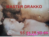 FETICHES , MORBO , BDSM , CERDEO FULL , SEXO MACHO A TOPE PARA PASIVOS SUMISOS Y ARDIENTES.