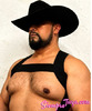MACHO MORENO ROBUSTO PELUDO VARONIL EXCELENTE AMANTE PARA HOMBRES PRIMERIZOS O MADUROS SIN PRISAS A